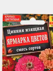 Семена цветы "Цинния Ярмарка цветов"