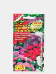 Астра Мамина радость, семена, цветы