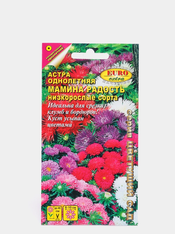 Астра Мамина радость, семена, цветы