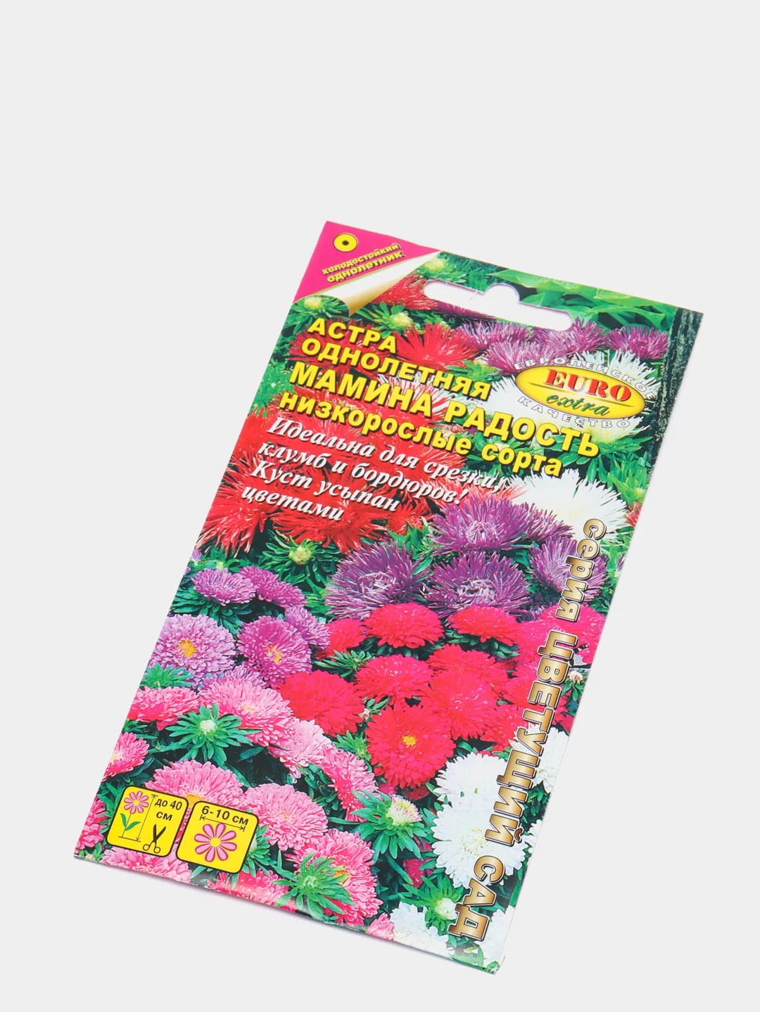 Астра Мамина радость, семена, цветы