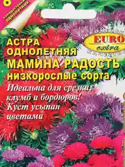Астра Мамина радость, семена, цветы