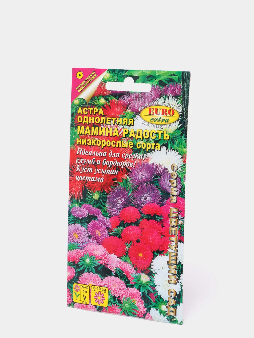 Астра Мамина радость, семена, цветы
