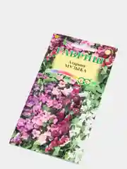 Азарина Музыка (семена,цветы)