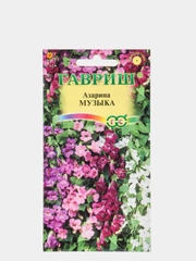 Азарина Музыка (семена,цветы)
