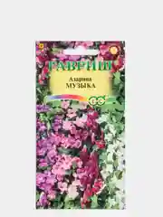 Азарина Музыка (семена,цветы)