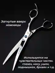 Серебряный набор цветных ножниц для стрижки волос и шерсти домашних животных из нержавеющей стали