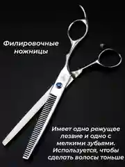 Серебряный набор цветных ножниц для стрижки волос и шерсти домашних животных из нержавеющей стали