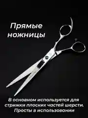 Серебряный набор цветных ножниц для стрижки волос и шерсти домашних животных из нержавеющей стали