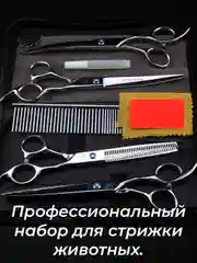 Серебряный набор цветных ножниц для стрижки волос и шерсти домашних животных из нержавеющей стали
