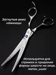 Серебряный набор цветных ножниц для стрижки волос и шерсти домашних животных из нержавеющей стали