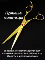 Золотой набор цветных ножниц для стрижки волос и шерсти домашних животных из нержавеющей стали
