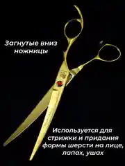 Золотой набор цветных ножниц для стрижки волос и шерсти домашних животных из нержавеющей стали