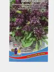 Семена базилика "Диво дивное"