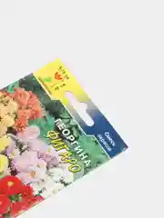 Семена цветы Георгина Фигаро смесь