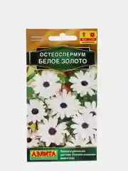 Остеоспермум "Белое золото", семена