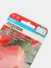 Семена Томат Пудовик, 20 штук, Сибирский сад