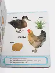 Книги картонные набор из 3 шт. Азбука в загадках/Домашние любимцы/Маяковский. Проф-Пресс