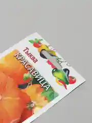 Тыква "Красавица" семена