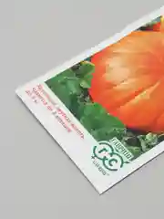 Тыква "Красавица" семена