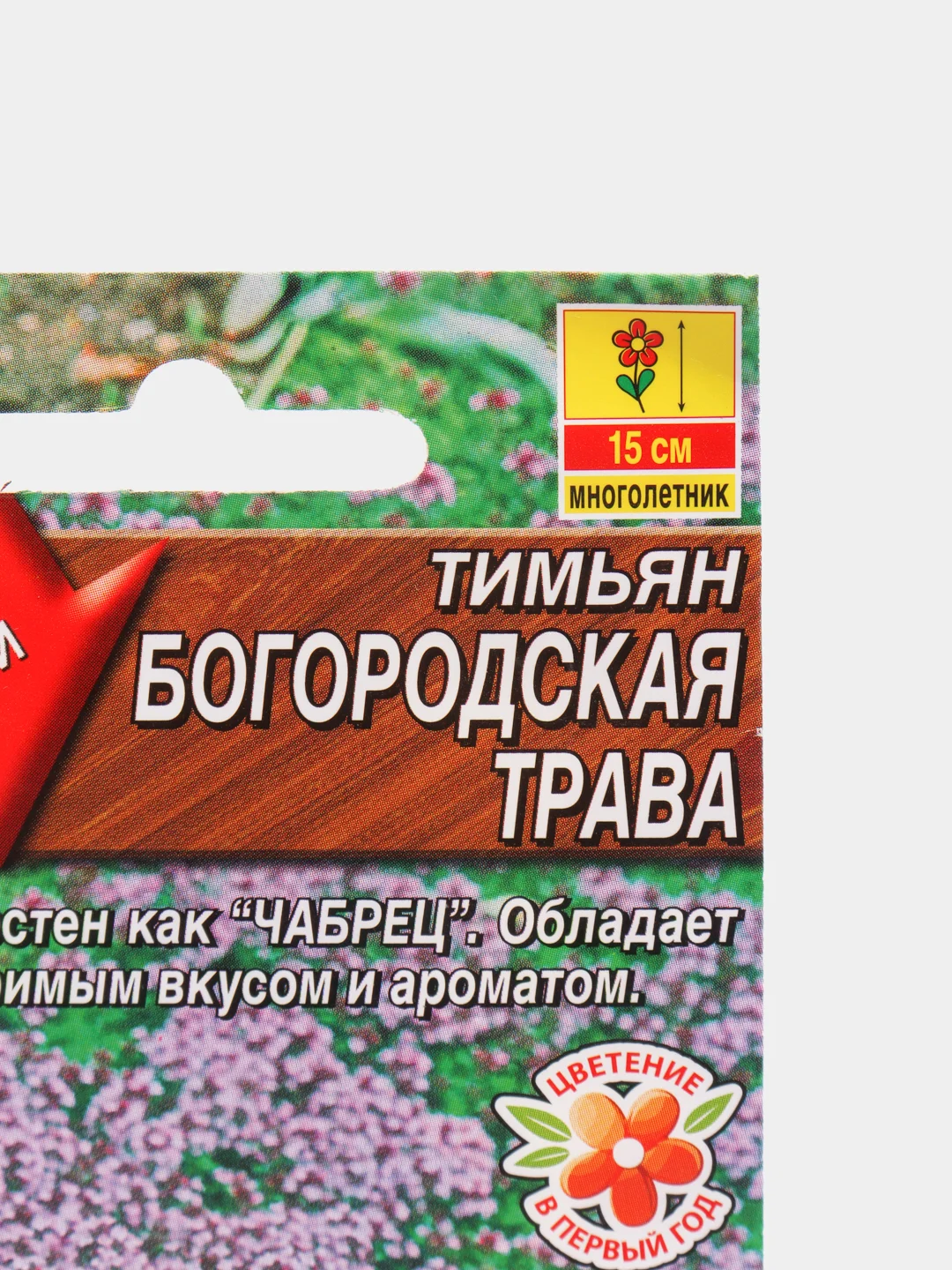 Тимьян Богородская трава (семена)