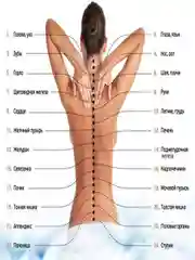 Вибромассажер инфракрасный магнитный антицеллюлитный с подогревом Magnetic Heat Massager