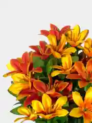 Искусственные цветы. Колокольчики (двухцветный букет). Высота: 35 см. D цветка: до 5 см