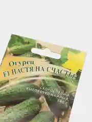 Огурец Настя на счастье (семена гавриш)
