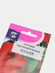 Семена цветов Петуния "Пламя"
