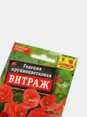 Годеция Аэлита "Крупноцветковая витраж", семена