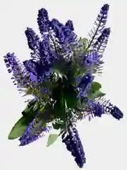 Искусственные цветы. Лаванда ( букет с обсыпкой). Высота: 34 см. Бутон: до 12 см