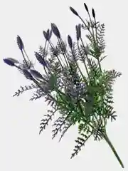 Искусственные цветы. Туя (пластиковый букет ). Композиция. Высота 39 см
