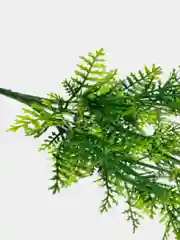 Искусственные цветы. Туя (пластиковый букет ). Композиция. Высота 39 см