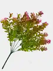 Искусственные цветы. Ротала круглолистная (пластиковый букет). Высота: 34см. D бутона 2см