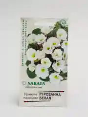 Семена цветы "Примула Розанна белая"