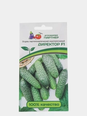 Огурец Директор (семена)