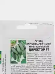 Огурец Директор (семена)