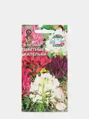 Семена цветов "Клеома. Цветные капельки"