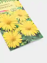 Дороникум Ориентале (семена,цветы)