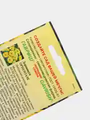 Дороникум Ориентале (семена,цветы)