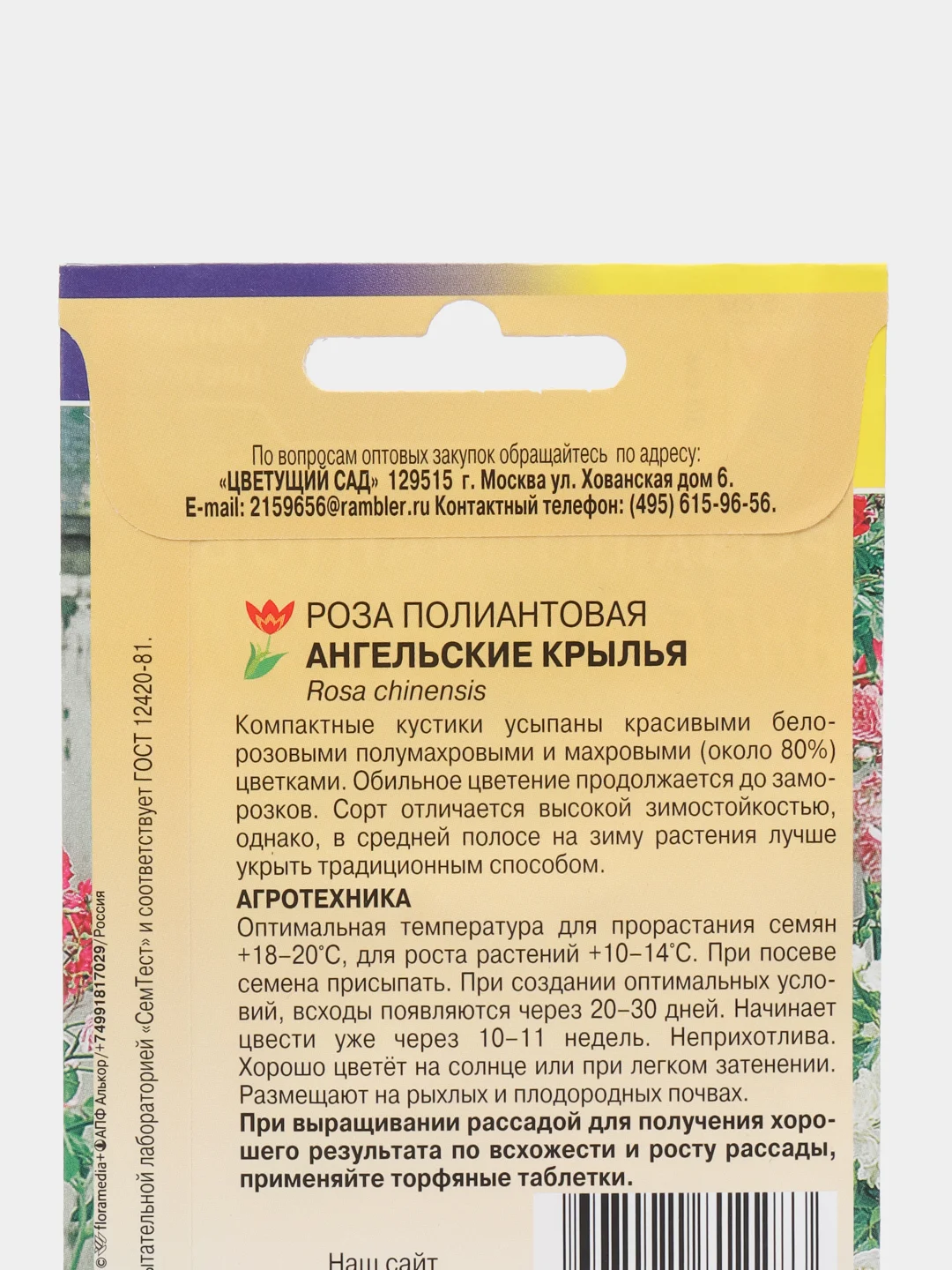 Роза Ангельские крылья (семена,цветы)