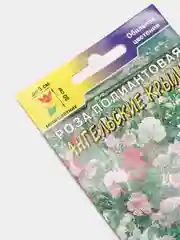 Роза Ангельские крылья (семена,цветы)