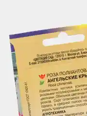Роза Ангельские крылья (семена,цветы)
