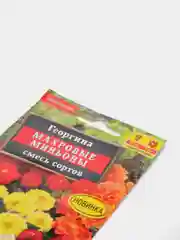 Георгина Махровые миньоны (семена,цветы)