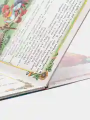 Книги детские картонные сказки/развивающие в наборе 3 шт, 16х22 см по 8 стр. Проф-Пресс