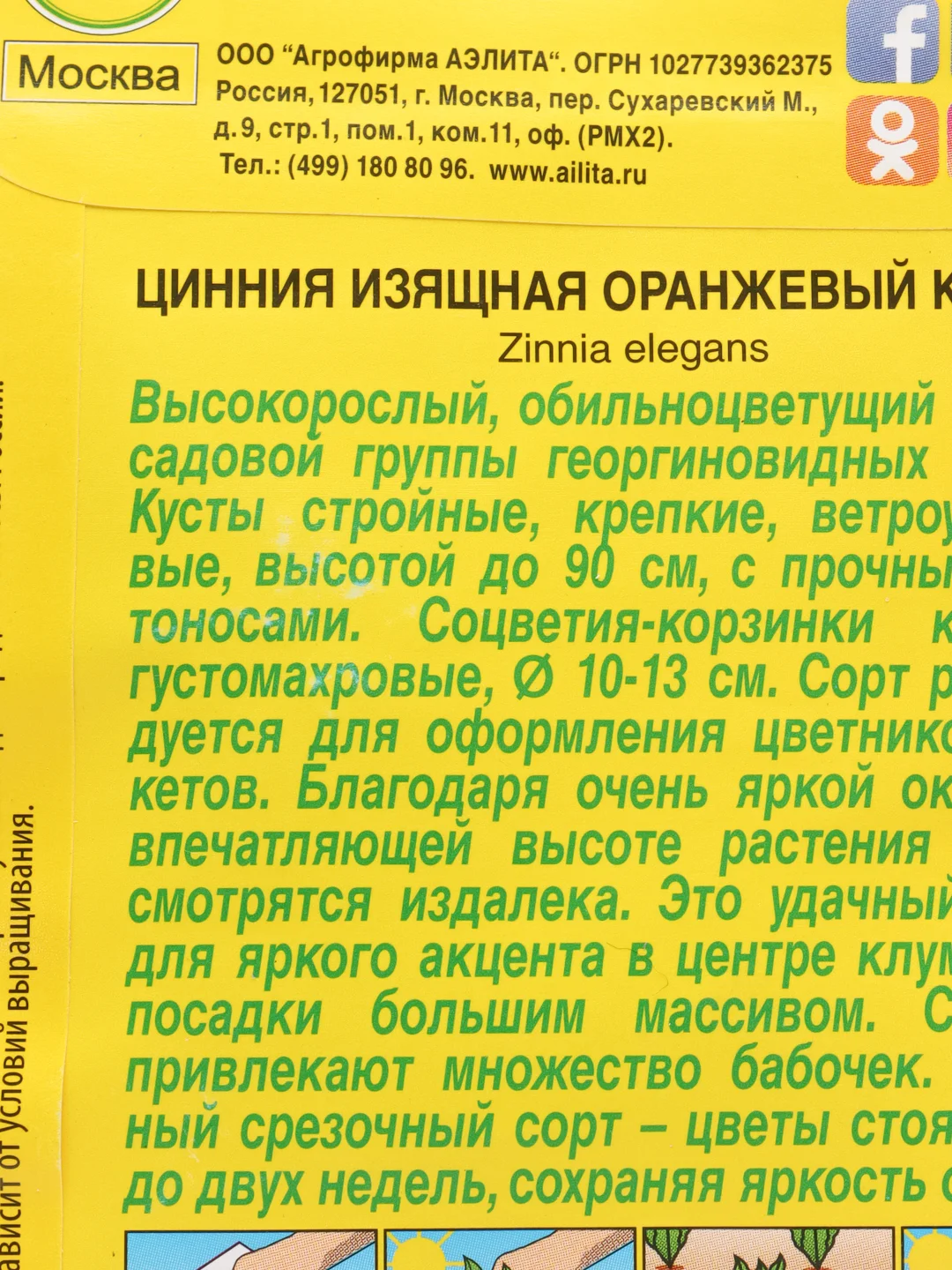 Цинния Оранжевый король (семена,цветы)