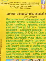 Цинния Оранжевый король (семена,цветы)
