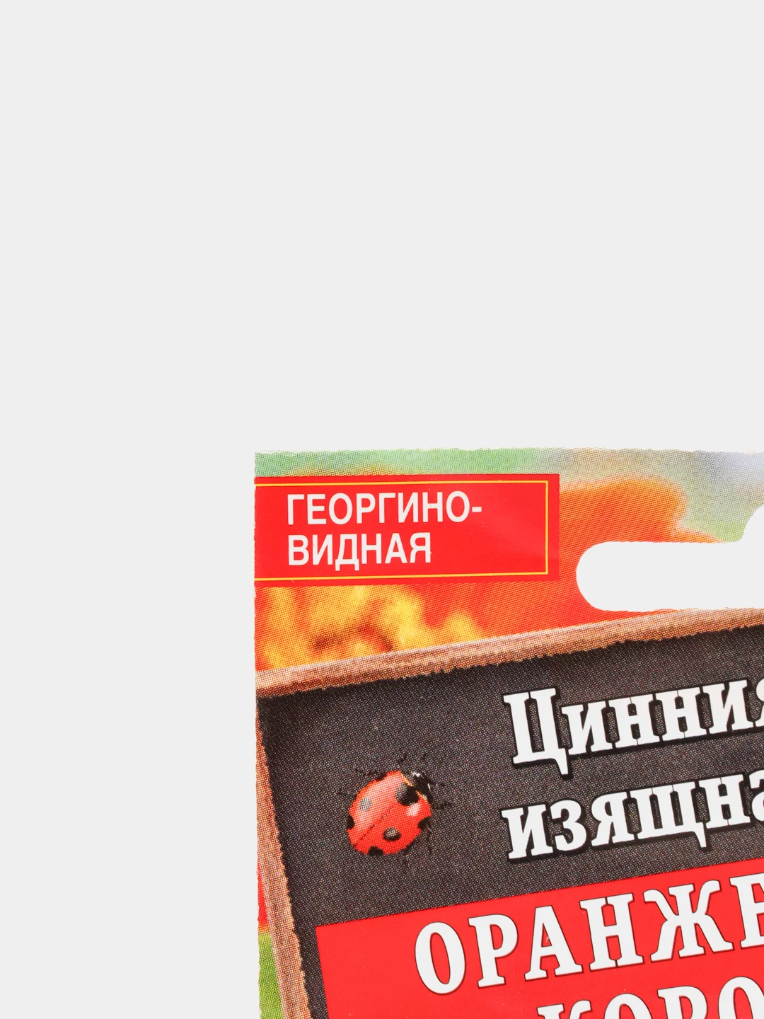 Цинния Оранжевый король (семена,цветы)