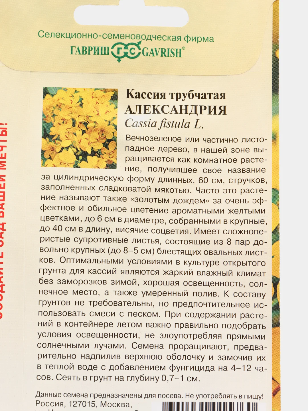 Семена цветов Кассия "Александрия"