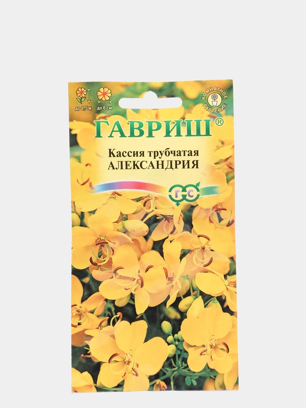 Семена цветов Кассия "Александрия"