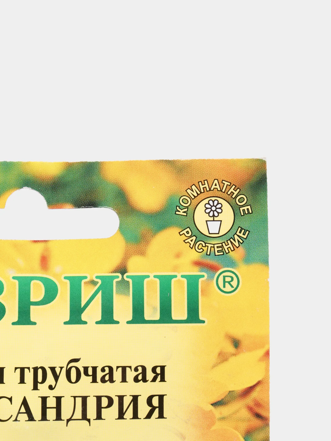Семена цветов Кассия "Александрия"
